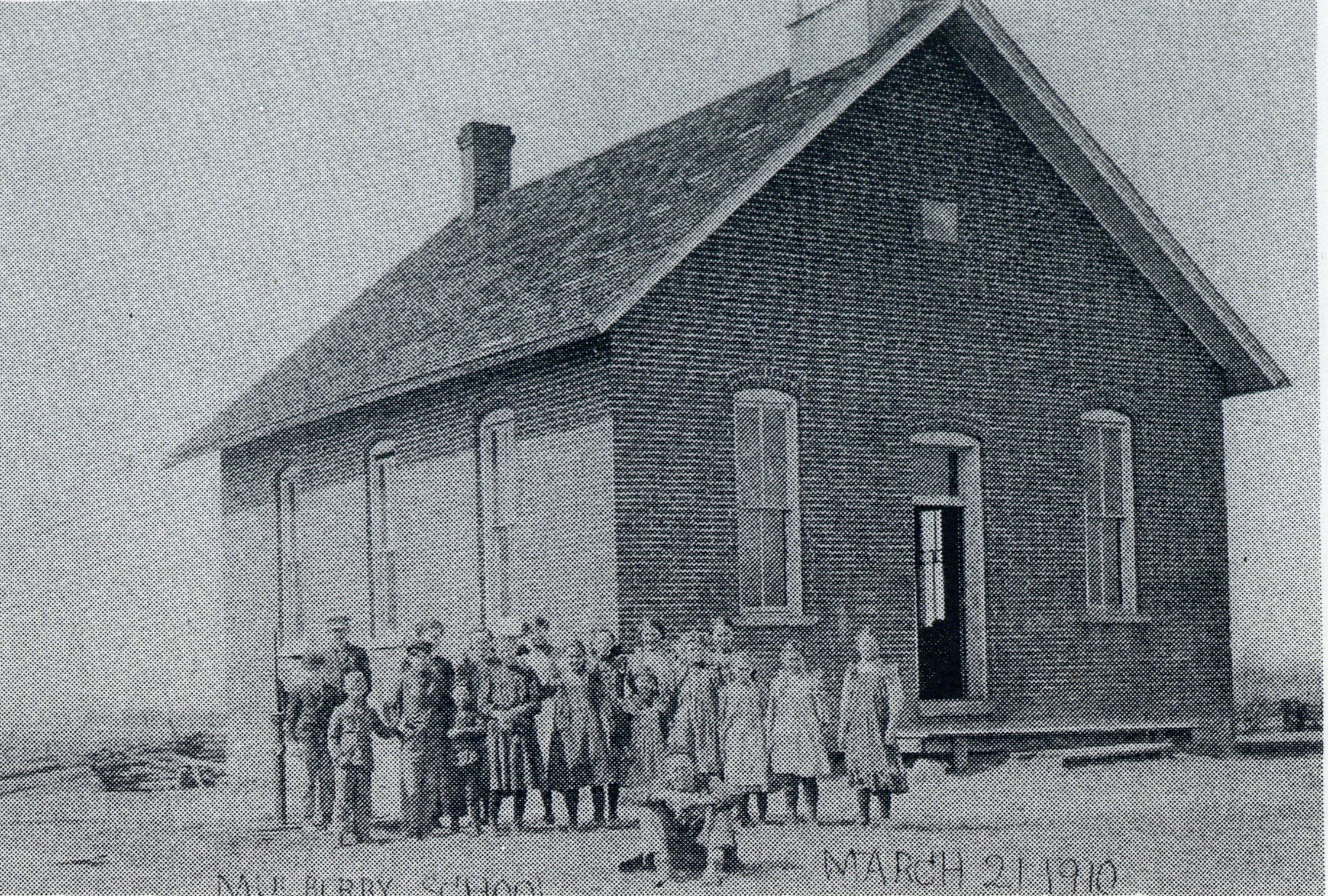 Mulberry School